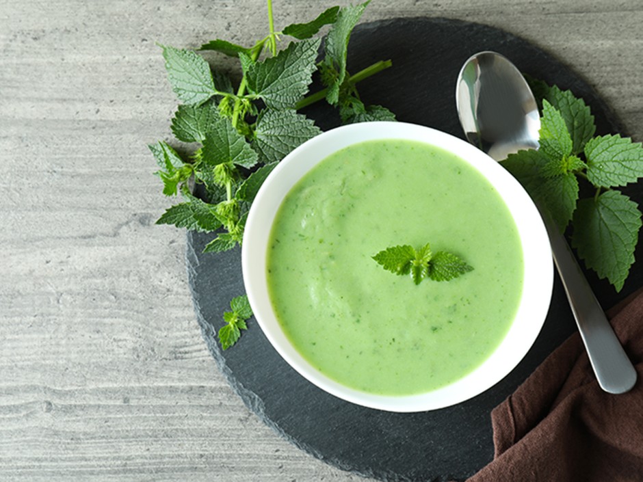 Brennesselsuppe - Rezept Brennesselsuppe - Rezept